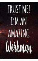 Trust Me! I'm An Amazing Workman