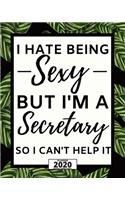 I Hate Being Sexy But I'm A Secretary