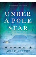 Under a Pole Star