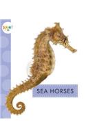 Sea Horses