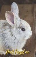Don't Forget Me: Cute Little Rabbit.Internet Password Logbook with alphabetical tabs.Personal Address of websites, usernames, passwords notebook/Journal/Organizer/Ke