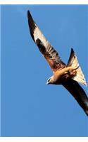 Red Kite Raptor Soaring High in the Sky Journal: Take Notes, Write Down Memories in this 150 Page Lined Journal