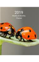2019 Weekly and Monthly Planner