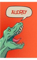 Audrey: Personalized Dino Blood Sugar Diet Diary Journal Log 120 Pages 6x9