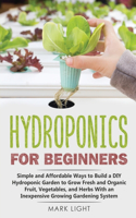 Hydroponics for Beginners