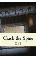 Crack the Spine XVI