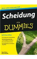 Scheidung für Dummies: (Für Dummies)