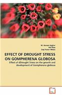 Effect of Drought Stress on Gompherena Globosa