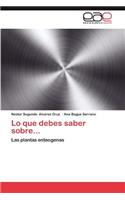 Lo Que Debes Saber Sobre...