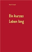 Ein kurzes Leben lang: Roman