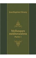 Mollusques méditeranéens Partie 1