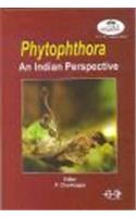 Phytophthora : An Indian Perspective