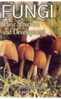 Fungi: Their Structure and Development