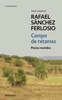 Campo de retamas: Pecios reunidos