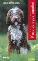 Perro de agua espanol