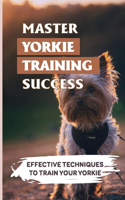 Master Yorkie Training Success