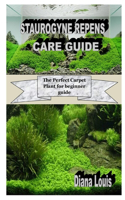 Staurogyne Repens Care Guide