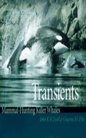 Transients