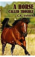 Horse Called Trouble