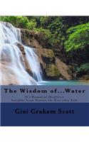 The Wisdom of... Water: It's Essential Qualities
