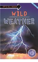 It's All About... Wild Weather