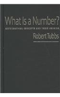 What Is a Number?: Mathematical Concepts and Their Origins
