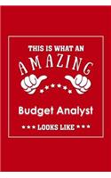This is What an Amazing Budget Analyst Look Like: Appreciation Gift Journal for Employee, Coworker or Boss