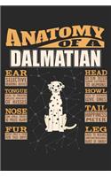 Anatomy Of A Dalmatian
