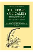 Ferns (Filicales)