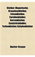 Kleiber: Mauerlufer, Braunkopfkleiber, Felsenkleiber, Carolinakleiber, Korsenkleiber, Samtstirnkleiber, Trkenkleiber, Kabylenkl