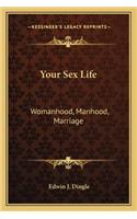 Your Sex Life
