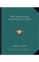 Het Brandende Braambosch (1899)
