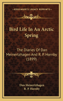 Bird Life In An Arctic Spring