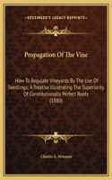 Propagation Of The Vine