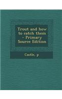 Trout and How to Catch Them