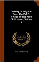 History Of England From The Fall Of Wolsey To The Death Of Elizabeth, Volume 7