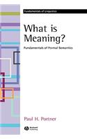 What is Meaning?