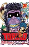 Toriko, Vol. 34