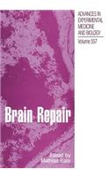 Brain Repair