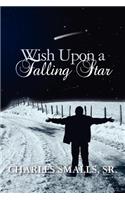 Wish Upon a Falling Star