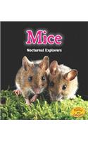 Night Safari Mice Nocturnal Explorers