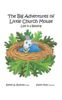 Big Adventures of Little Church Mouse