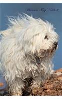 Havanese May Notebook Havanese Record, Log, Diary, Special Memories, To Do List, Academic Notepad, Scrapbook & More
