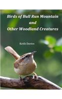 Birds of Bull Run Mountain and Other Woodland Creatures