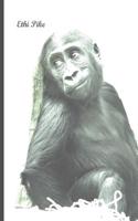 Ethi Pike - Baby Gorilla Notebook / Extended Lines / Soft Matte Cover: An Ethi Pike Collectible Journal: Animals