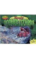 Bloody Horned Lizards