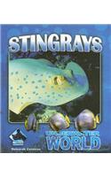 Stingrays