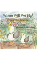 Where Will We Fly