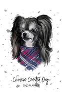 Chinese Crested Dog 2020 Planner