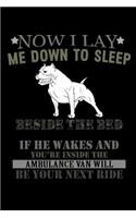 Now I Lay me Down to Sleep Beside the Bed My Pitbull I Keep If he Wakes and You're Inside the Ambulance Van Will Be your Next Ride